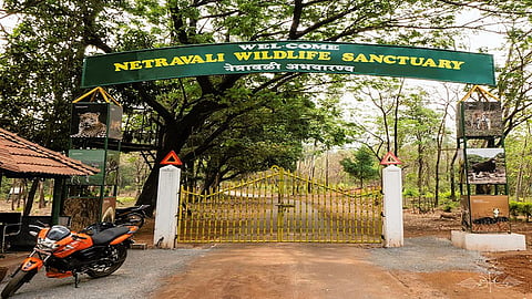 Netravali Wildlife Sanctuary