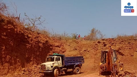 Mountain Harvest