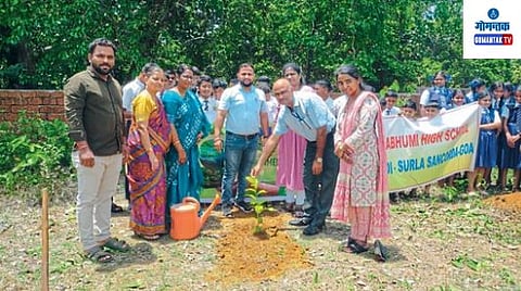 World Environment Day