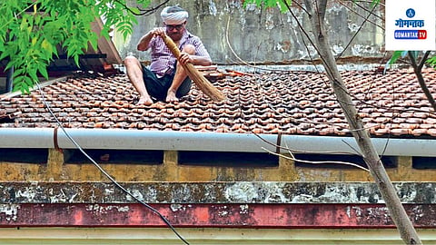 Bicholim House
