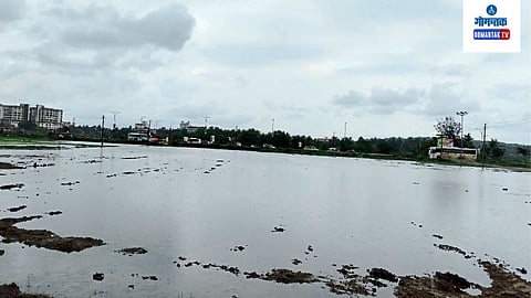 Mapusa