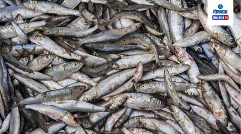 Fish Sellers
