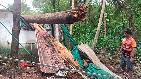 Goa Monsoon 2024