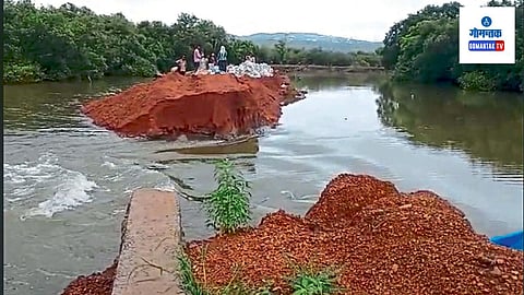 Tiswadi Dam: पारंपरिक पद्धतीचे बांध हे शाश्वत आणि टिकाऊ