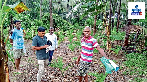 Valpoi Agriculture Divisional Office Survey: सुमारे ३० बागायतदारांच्या जागेत जाऊन पाहणी करुन अहवाल लिहून घेतलेला आहे
