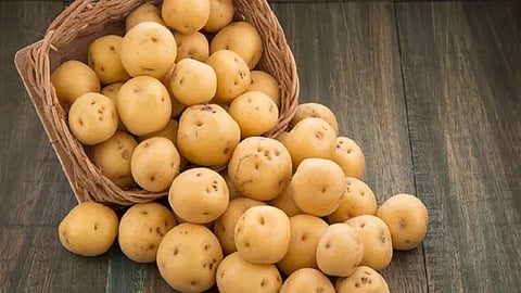 Diabetes: मधुमेही रुग्णांनी बटाटा खाणे बंद करावे का? अशाप्रकारे आहारात करा बटाट्याचा समावेश; तज्ज्ञांनी दिला सल्ला