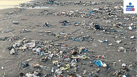 Morjim: हा कचरा उचलण्यासाठी आणि किनारा स्वच्छ ठेवण्यासाठी एजन्सीला ताकीद द्यावी, अशी मागणी मोरजीचे सरपंच पवन मोरजे यांनी केली आहे
