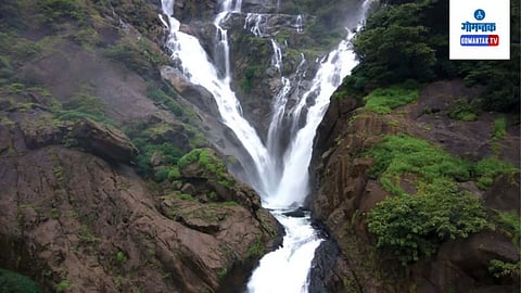 Dudhsagar Taxi Services: दूधसागर धबधब्यापर्यंत जाणारी टॅक्सी सेवा सोमवारपासून सुरु होईल, गोव्यातील प्रसिद्ध दूधसागर धबधबा आता लवकरच पर्यटकांसाठी खुला करण्यात येणार आहे.