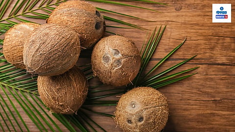 Coconut Shell