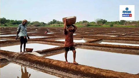 Traditional Salt Farming Goa | Goa Government