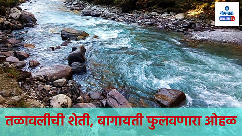 पूर्वजांचा इवलासा गोवा म्हणजे कोकणपट्टीच्या गळ्यातला रत्नांचा हार होता; तळावलीची शेती, बागायती फुलवणारा ओहळ