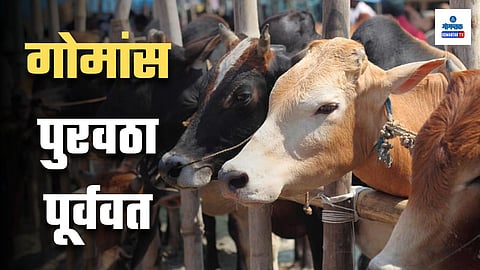 Beef Supply In Goa