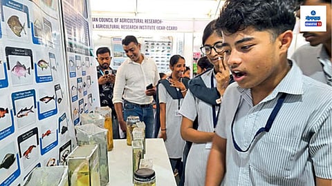 Aqua Goa Mega Fish Festival