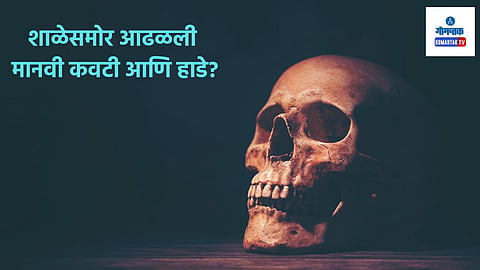 Goa Crime News: फातोर्डा येथे शाळेसमोर सफाई करताना आढळली मानवी कवटी आणि हाडे; पोलिस करतायेत तपास