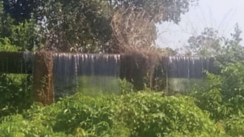 Goa News: तिळारी धरणाच्या गोव्यातील उपकालव्याला गळती, लाखो लिटर पाणी गेले वाया; वाचा गोव्यातील ठळक घडामोडी