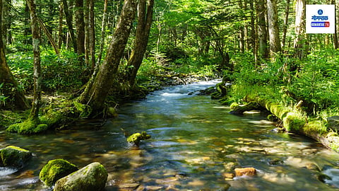 Shiroda Daboli Stream