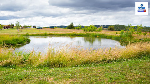 Lake