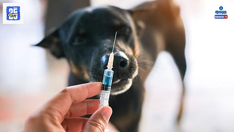 rabies free Goa