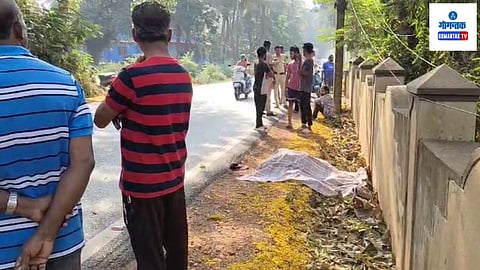 Cuncolim Hit & Run Case