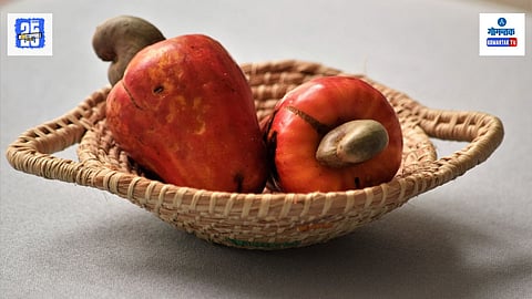 Cashew Fruit
