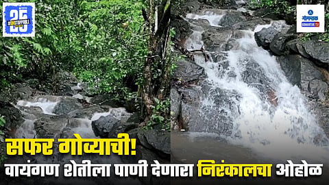 Nirankal Stream Biodiversity And Natural Beauty Goa