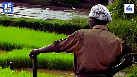 Farmer Compensation