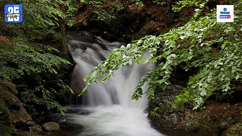 Stream Water