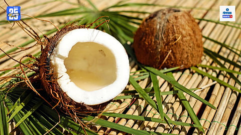 Goa Coconut Price