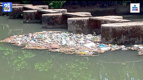 Par River Pollution Goa