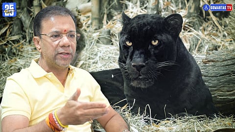 Black Panther Death