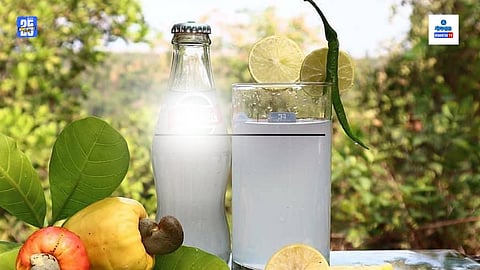 Goa Cashew Feni News