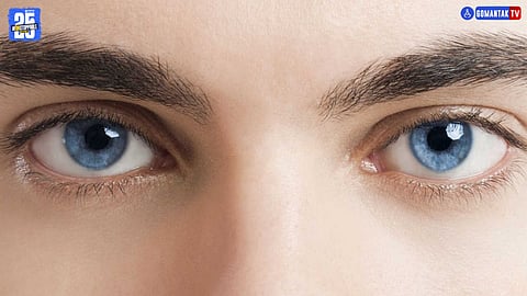 Symptoms Of Eye Cancer