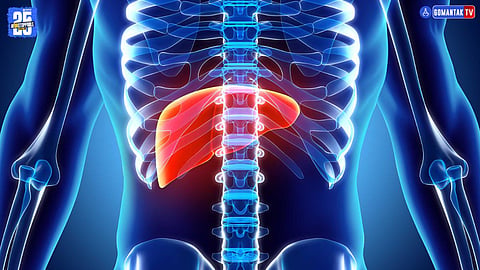 Type 2 diabetes treatment breakthrough