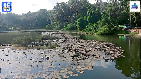 karapura kolamba lake