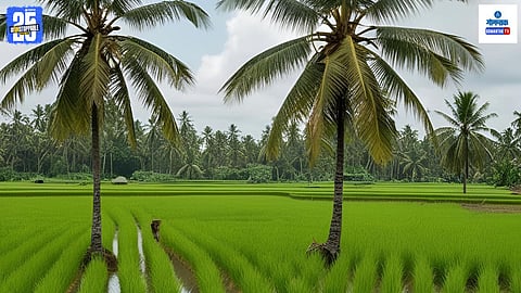 Goa Monsoon