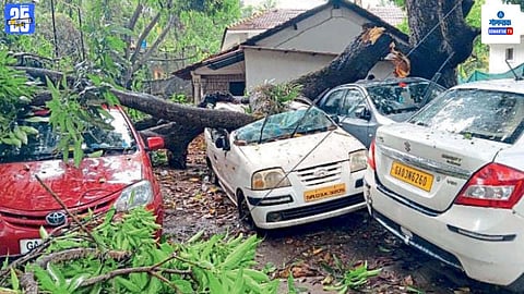 Goa Rain