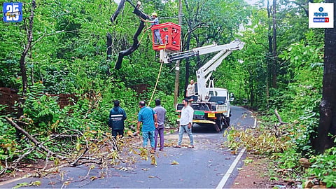 Goa rain updates