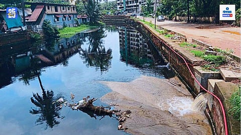 St Inez Creek Pollution