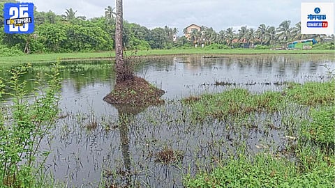 Bamanbhati Water Crisis in Agriculture Land