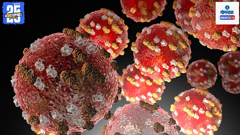 USA measles infection rise