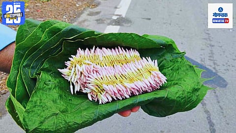 Jasmine flowers in Borim Goa