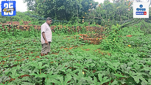 Goa Agriculture