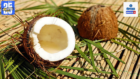 Coconut Significance