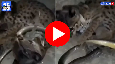 Viral Video