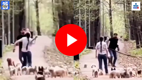 Couple Fight Video