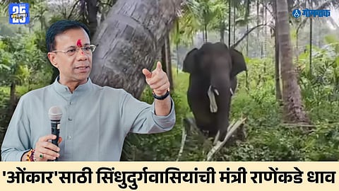 Omkar elephant Goa