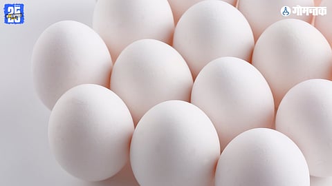 Egg Rate