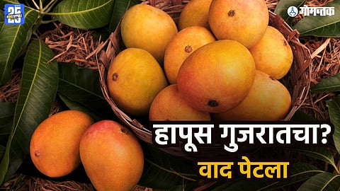 Alphanso Mango Dispute
