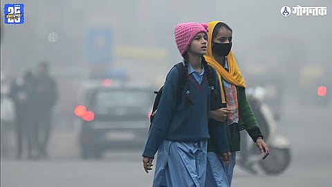 Goa Winter Update