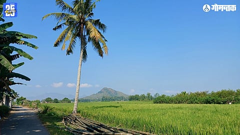 Mardol Goa